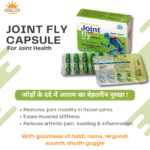 jointfly cap poster
