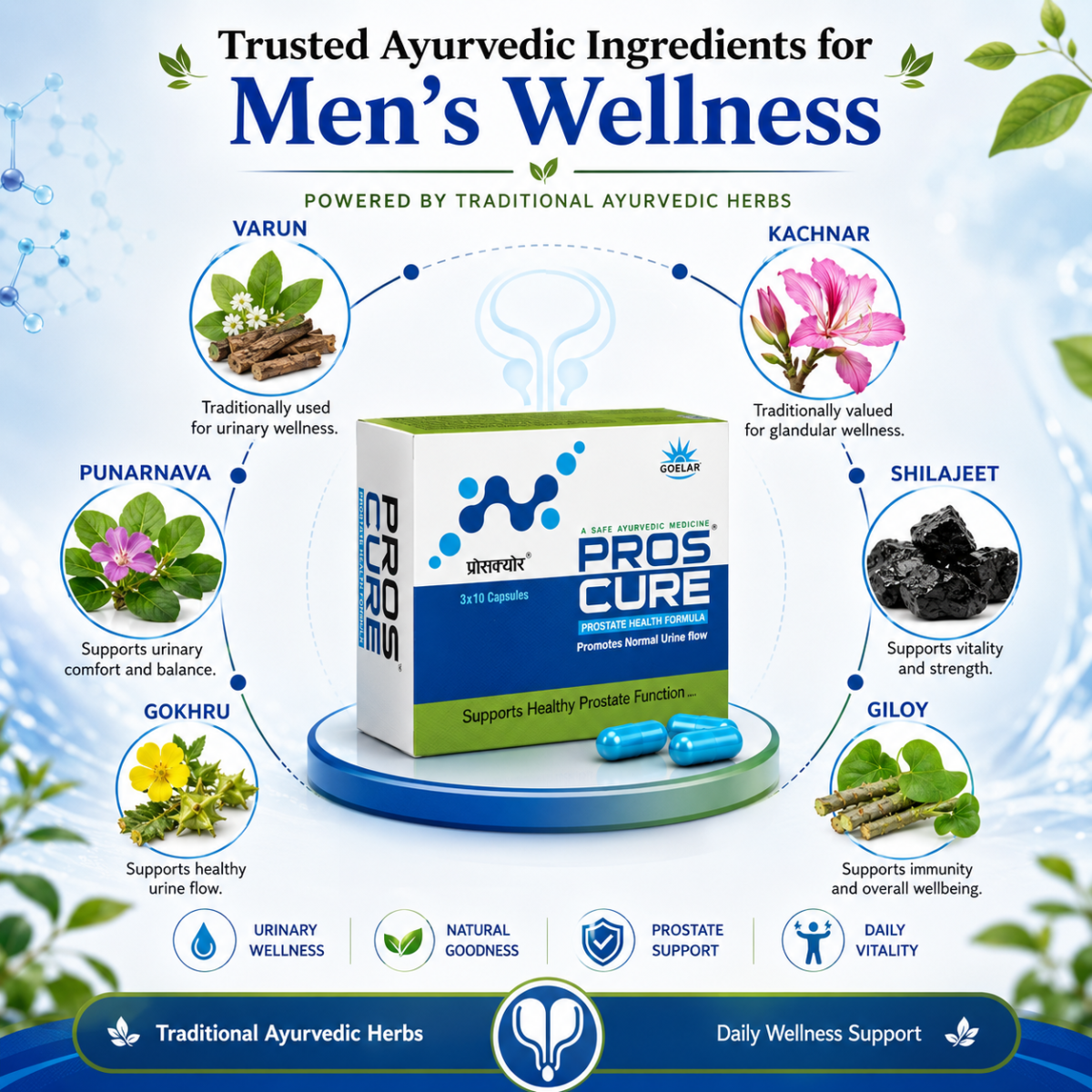 Proscure Capsule – Ayurvedic Support for Prostate Wellness