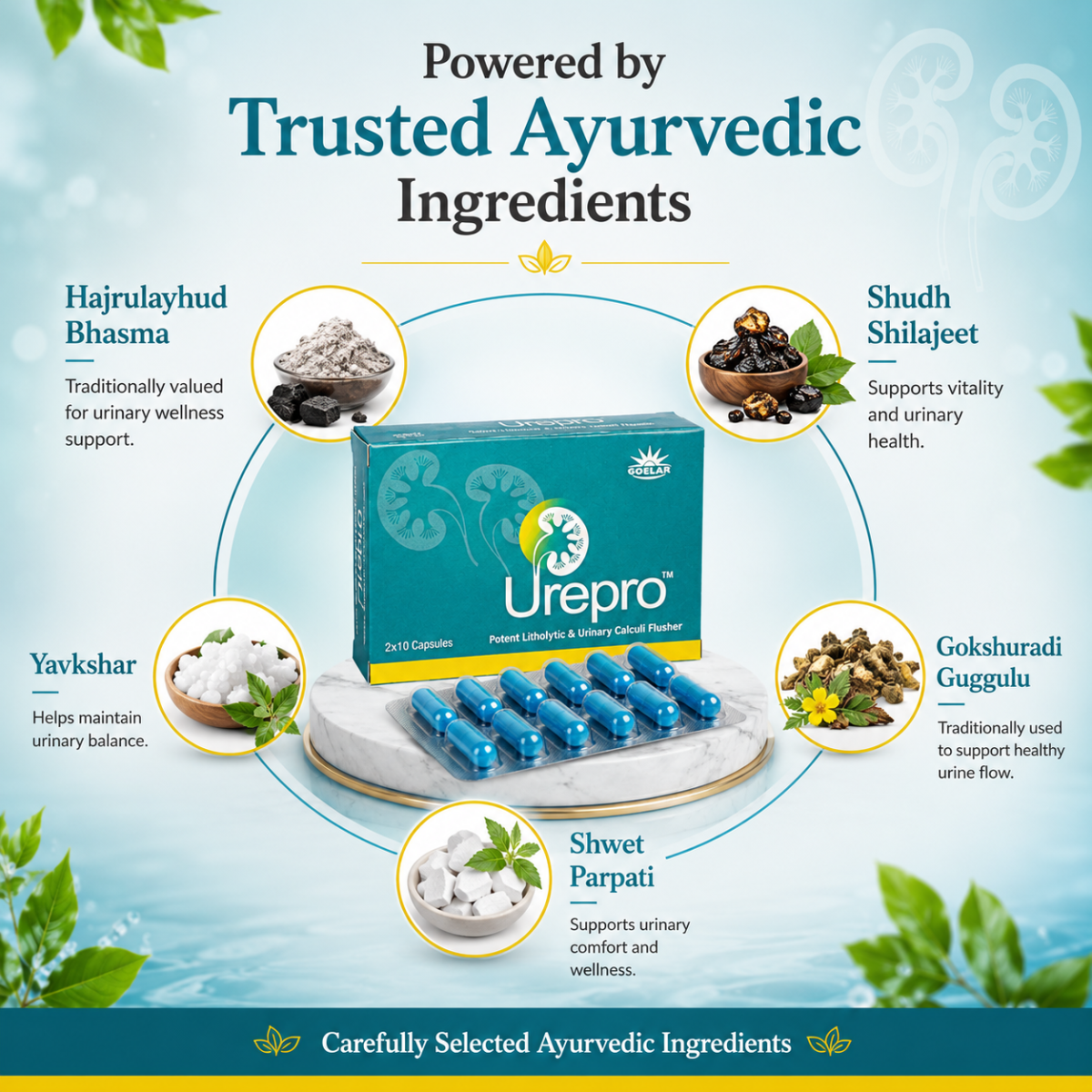 Urepro Capsule – Ayurvedic Herbal Support for Kidney & Urinary Wellness