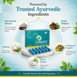 Urepro Capsule – Ayurvedic Herbal Support for Kidney & Urinary Wellness