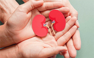 Kidney Care & Urinary Stone