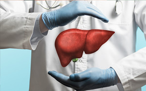 liver