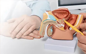 prostate