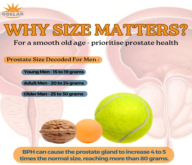 Prostate Size
