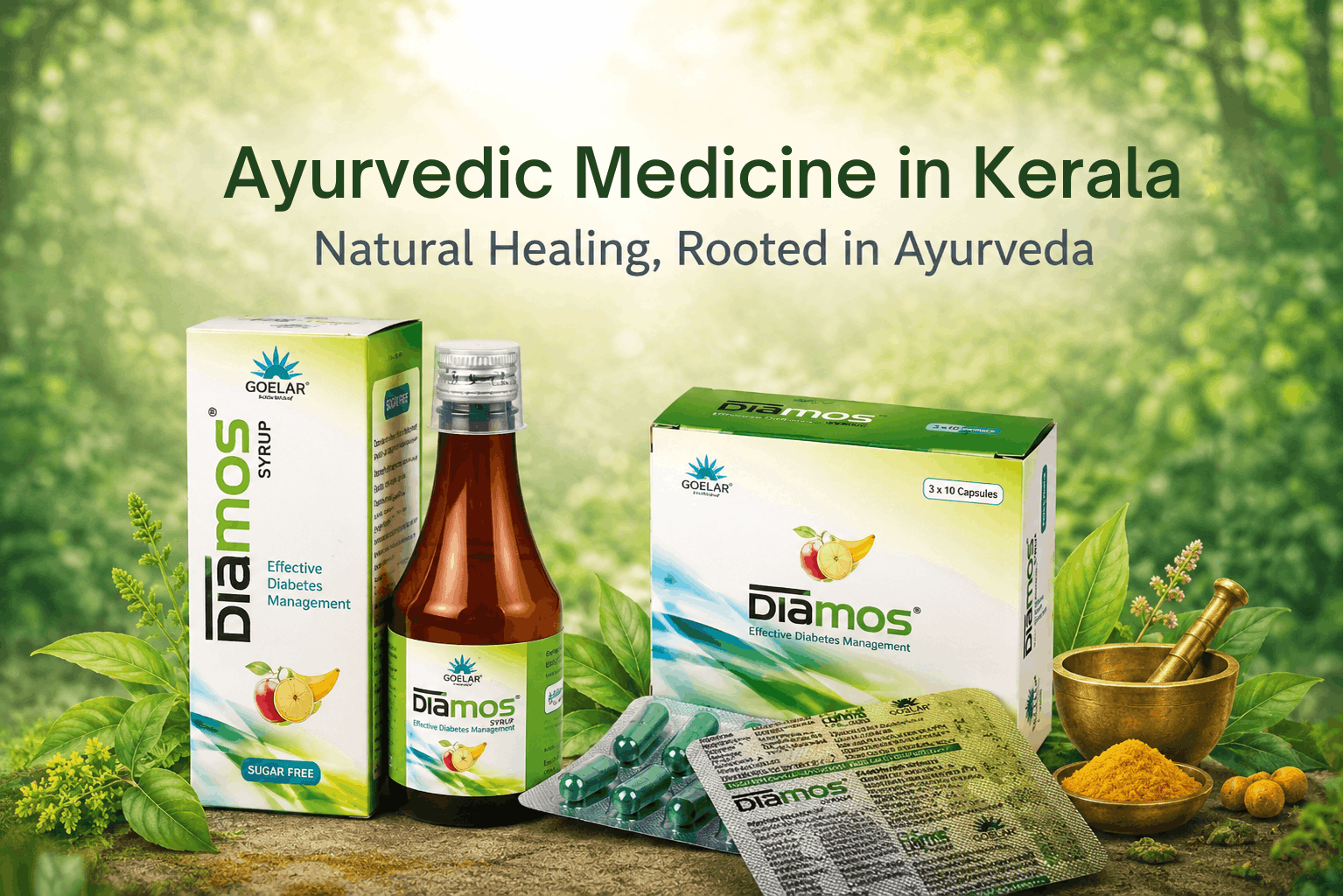 ayurvedic diabetes medicines in Alappuzha