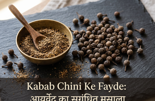 Kabab Chini Ke Fayde