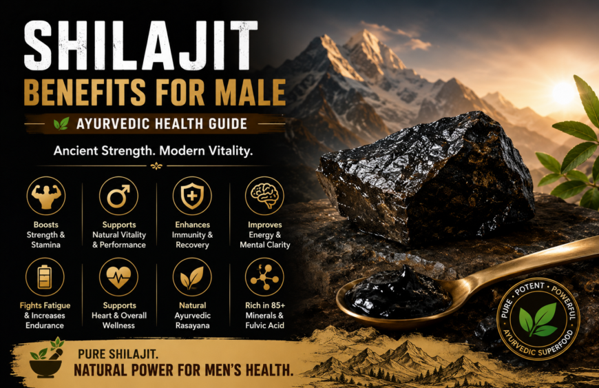 Shilajit Benefits for Male