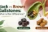 Black vs Brown Gallstones Explained