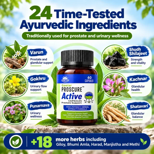 Proscure Active Capsules – Prostate Support